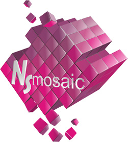 NSmosaic - 